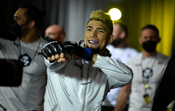 Johnny Walker vs. Jamahal Hill Prediction