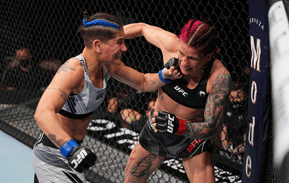 Ariane Lipski vs. Priscila Cachoeira&nbsp;Prediction